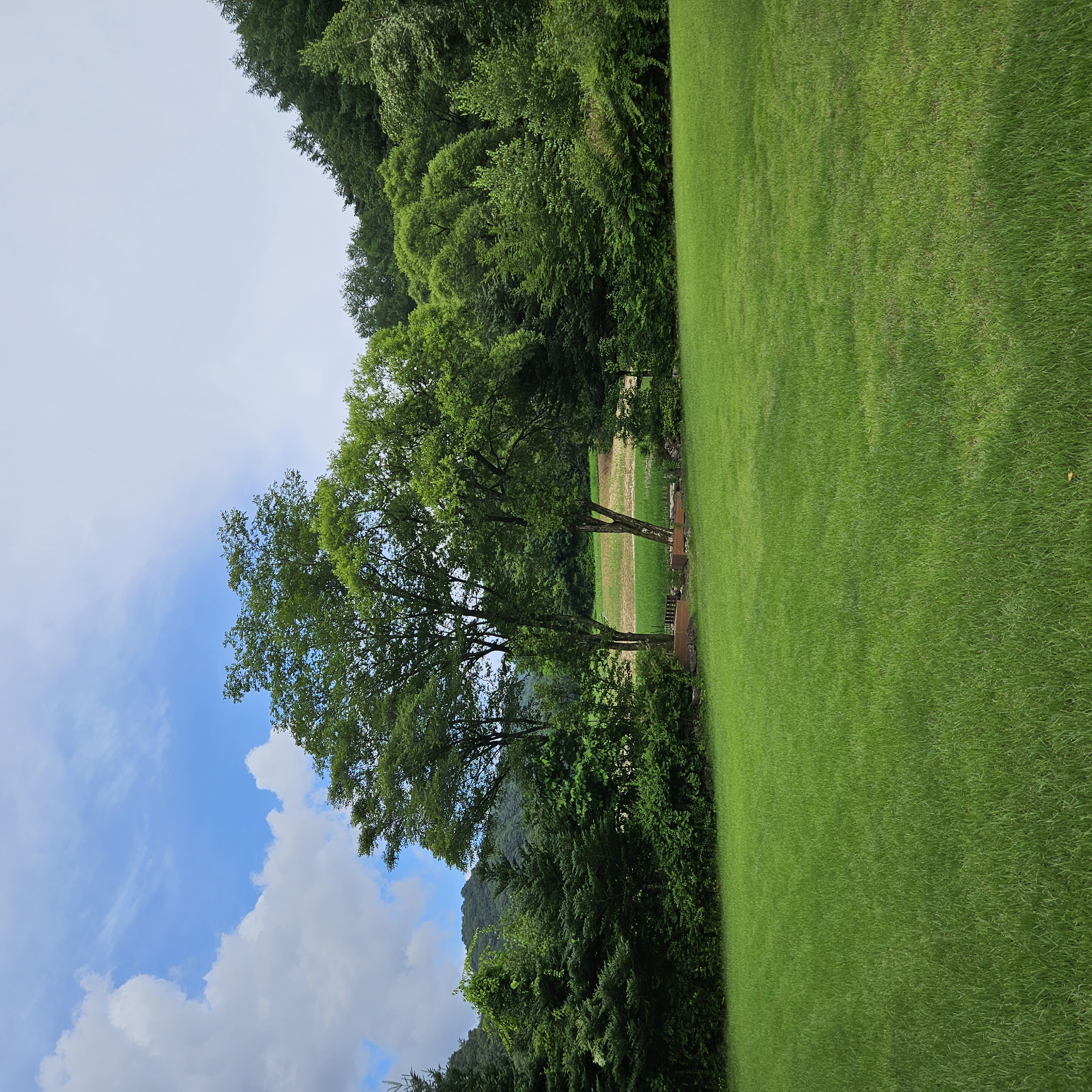 100회마라톤공원 썸네일