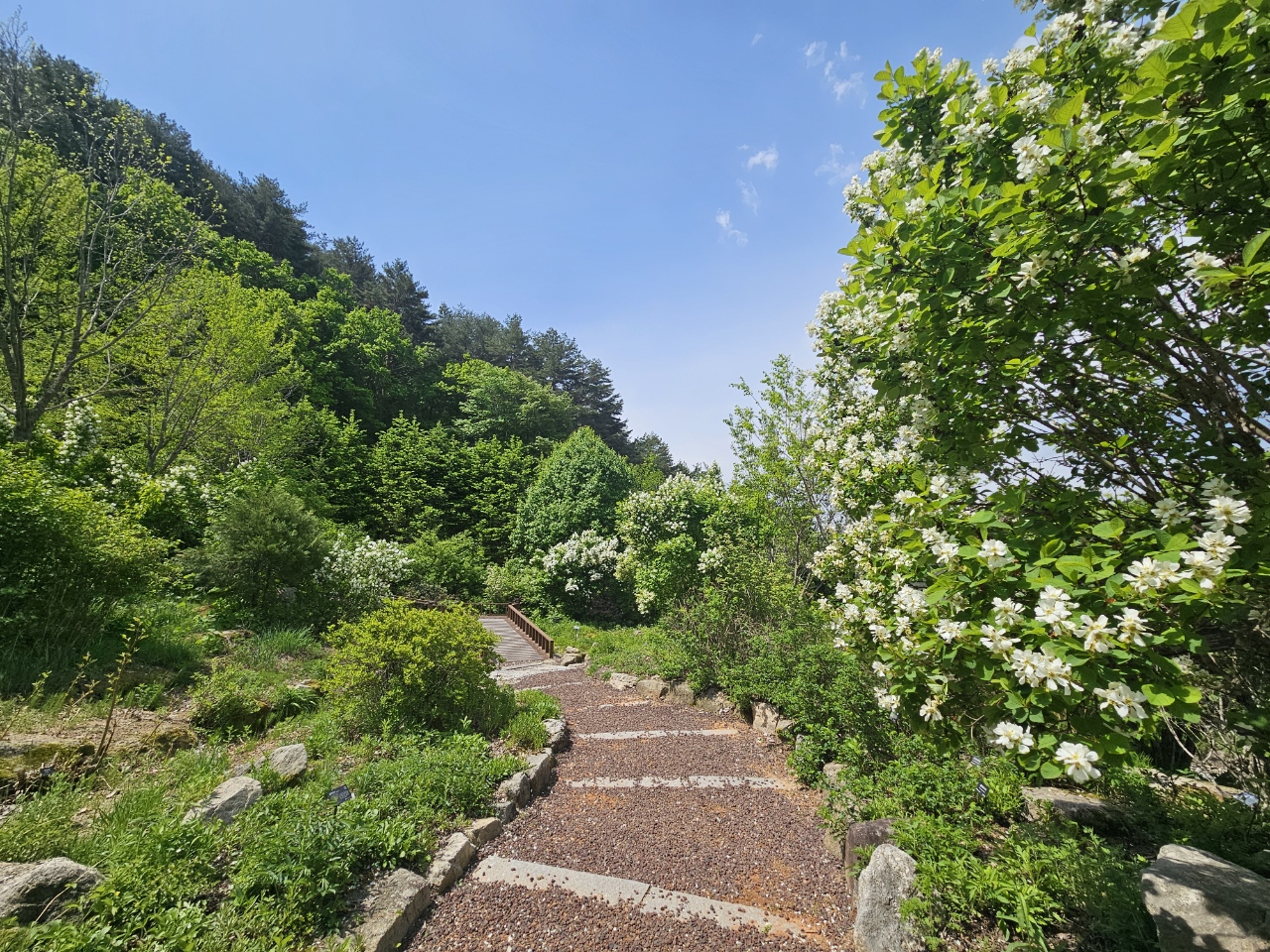 희귀식물원 썸네일