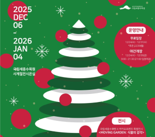 [크리스마스 명소 추천] 크리스마스 어디갈지 아직 안정했다면? 국립세종수목원 MERRY RED!